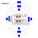 Structure of Phosphorus Model STEM Science Lab Demonstration Model